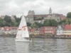 Bild 37