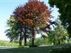 Bild 25