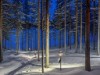 Bild 35 - Inde