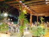 Billede 16