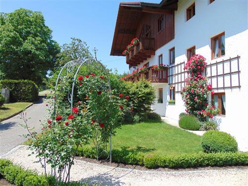 Ferielejlighed - 2 personer -  - Stephanskirchen - 83093 - Bad Endorf