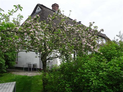 Semesterlägenhet - 2 personer -  - Niebyer Straße - 24395 - Pommerby