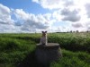 Bild 21