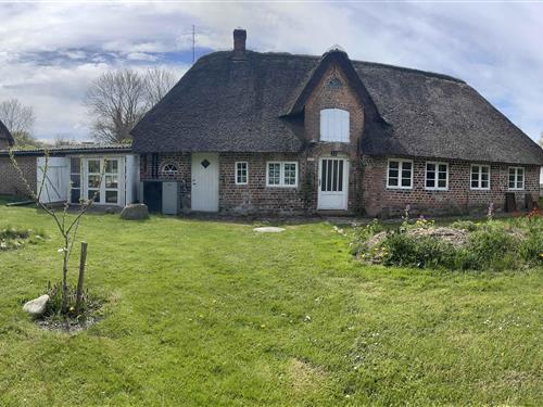 Bondehus - 6 personer -  - Sejerslevvej - 6280 - Højer