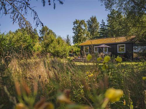 Sommerhus - 4 personer -  - Rævlingevej - 4281 - Gørlev
