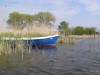 Billede 38