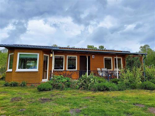 Holiday Home/Apartment - 6 persons -  - Westring - 17449 - Trassenheide