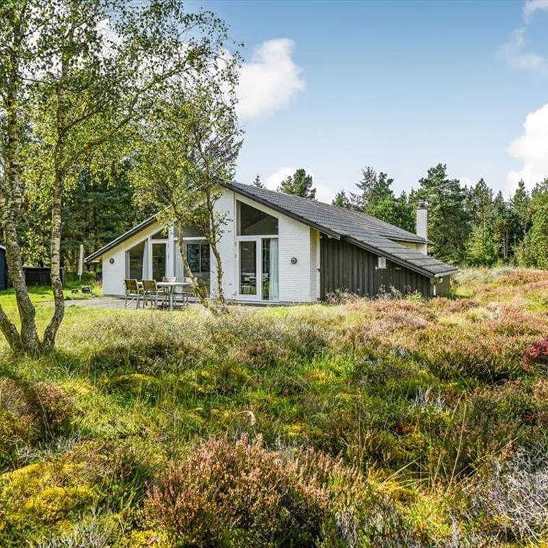 Ferienhaus - 5 Personen -  - Møllehusvej - 6857 - Blavand