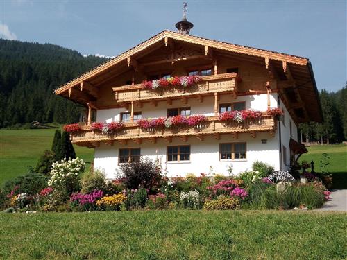 Bondegård - 3 personer -  - Walchhofweg - 5550 - Radstadt