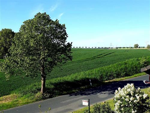 Ferieleilighet - 4 personer -  - Sabeler Str. - 18299 - Hohen Sprenz