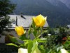 Image 11 - Outside