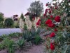 Bild 22