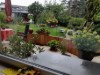 Bild 24