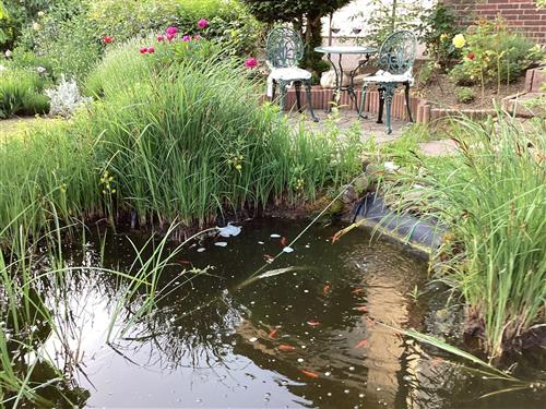 Ferieleilighet - 4 personer -  - Eichendorff Str. - 38667 - Bad Harzburg