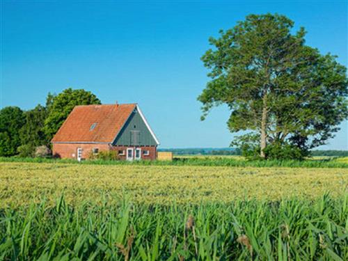 Sommerhus - 6 personer -  - Neuer Seeweg - 21734 - Oederquart