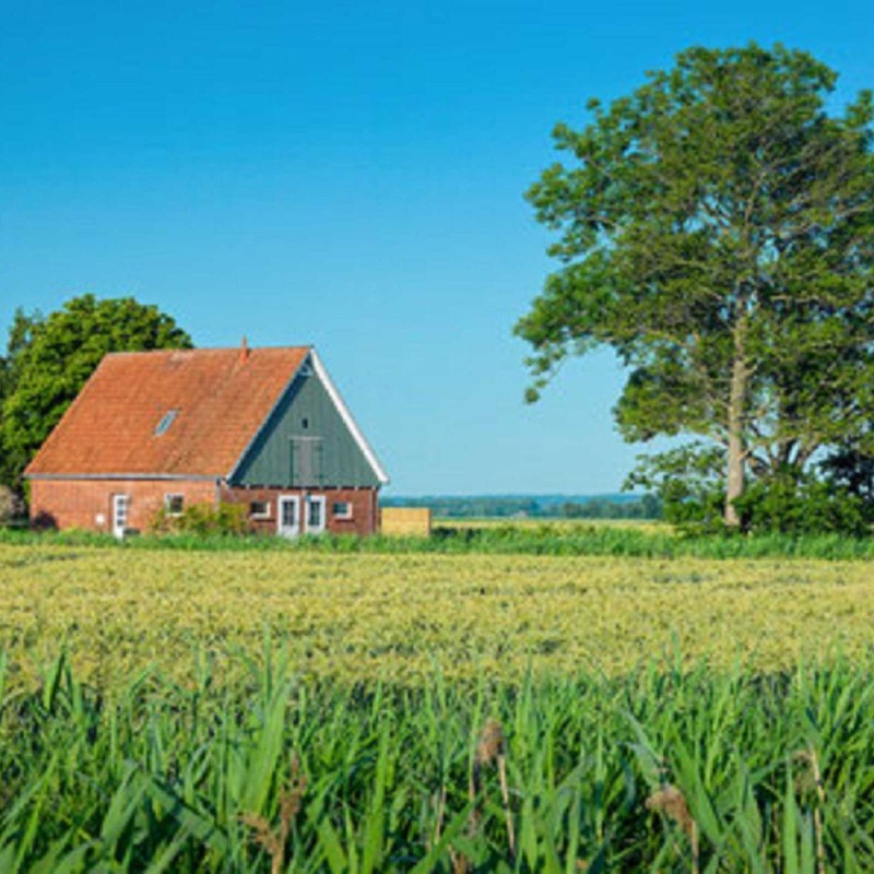 Sommerhus - 6 personer -  - Neuer Seeweg - 21734 - Oederquart