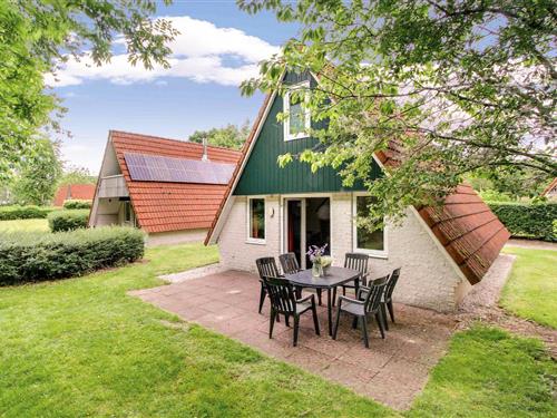 Feriehus - 6 personer -  - Boslaan 1 - - 7783 DD - Gramsbergen