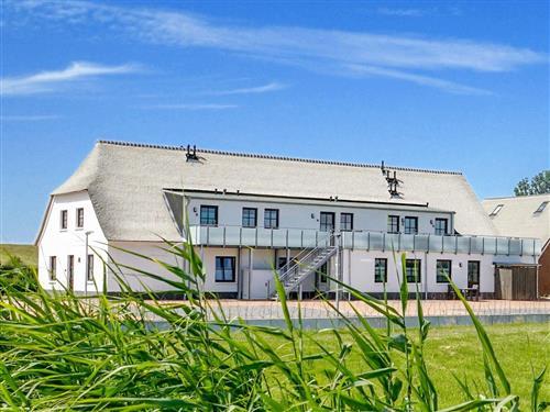 Ferieleilighet - 3 personer -  - Tossenser Deich - 26969 - Butjadingen / Tossens