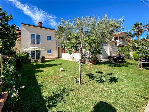 Semesterlägenhet - 2 personer -  - Novigrad (Istra) - 52466