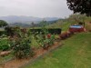 Image 5 - Outside