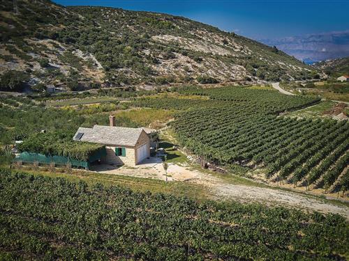 Holiday home - 4 persons -  - predio Blatisce, Dol - Brac-Postira - 21410 - Postira