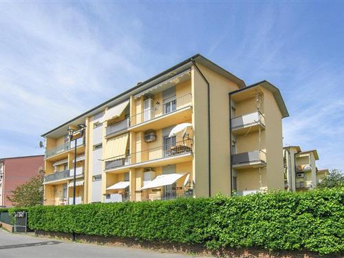 Ferielejlighed - 5 personer -  - Via della Svolta - 55045 - Pietrasanta