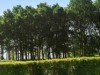 Bild 18 - Ude