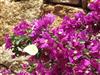 Bild 16