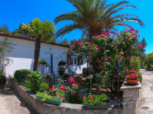 Ferienwohnung - 5 Personen -  - Artatore - 51564 - Cunski
