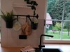 Bild 101