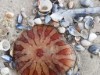 Bild 13 - Innen