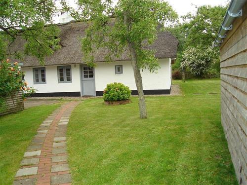 Ferienhaus - 4 Personen -  - Westmarken - 25826 - St. Peter-Ording