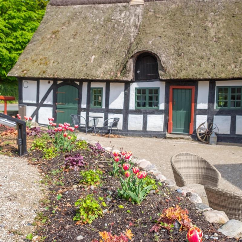 Ferienhaus - 6 Personen -  - Molsvej 130 C - Femmöller - 8400 - Ebeltoft