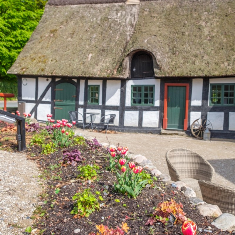 Ferienhaus - 6 Personen -  - Molsvej 130 C - Femmöller - 8400 - Ebeltoft