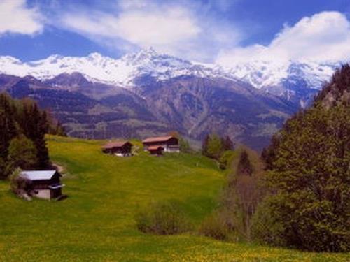 Holiday home - 7 persons -  - Via Val - 7173 - Surrein