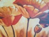 Bild 49 - Inde