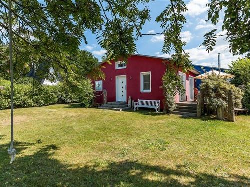 Sommerhus - 4 personer -  - Pappelallee - 18347 - Ostseebad Ahrenshoop