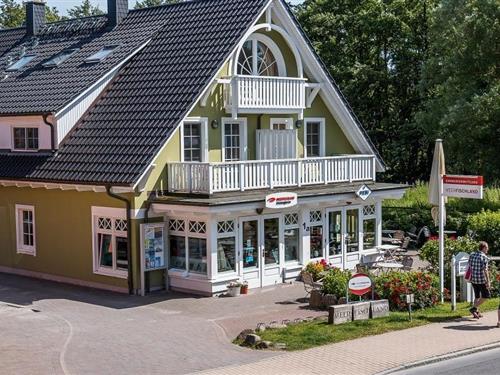 Ferielejlighed - 3 personer -  - Dorfstraße - 18347 - Ostseebad Ahrenshoop
