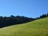 Bild 24 - Ude