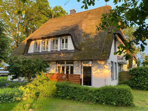 Ferieleilighet - 5 personer -  - Zur Trift - 17406 - Stolpe Auf Usedom