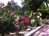 Bilde 6