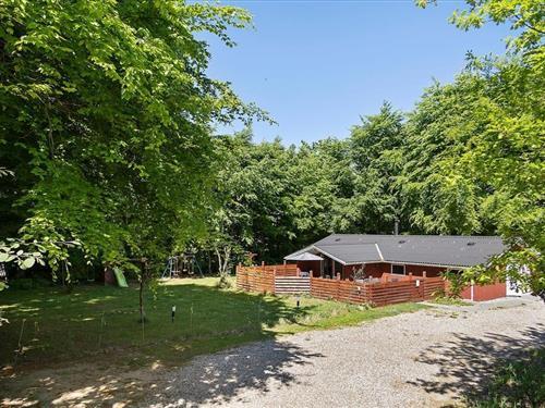 Sommerhus - 8 personer -  - Skikkild bjerge - Arrild - 6520 - Toftlund