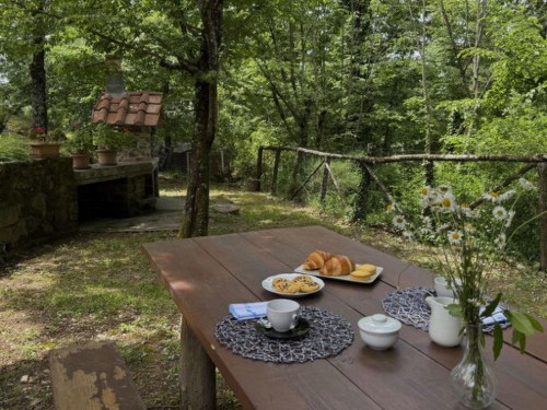 Fritidshus - 6 personer -  - 51017 - Pescia
