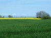 Bild 22