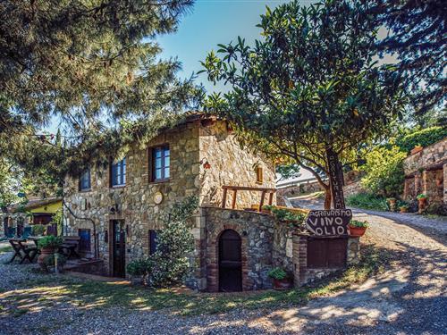 Feriehus / leilighet - 4 personer -  - Località La Fonte - 53023 - Castiglione D'orcia