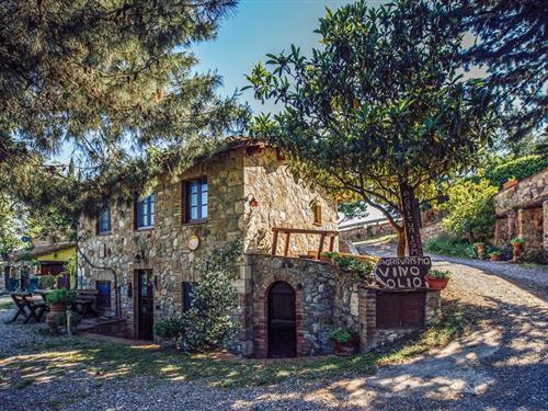 Ferielejlighed - 4 personer -  - Località La Fonte - 53023 - Castiglione D'orcia