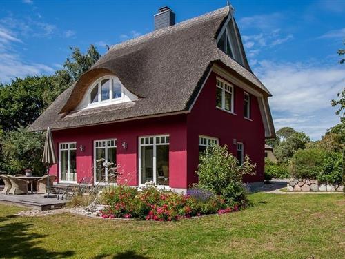Sommerhus - 6 personer -  - Edmund-Kesting-Weg - 18347 - Ostseebad Ahrenshoop