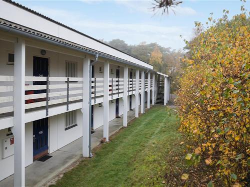 Holiday apartment - 4 persons -  - Sirenevej 2, - Dueodde - 3730 - Nexø