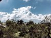 Billede 9