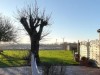 Bilde 13